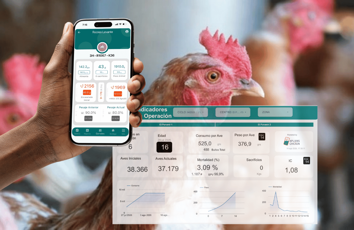 Indicadores de una operación de levante en Aplians Chicken