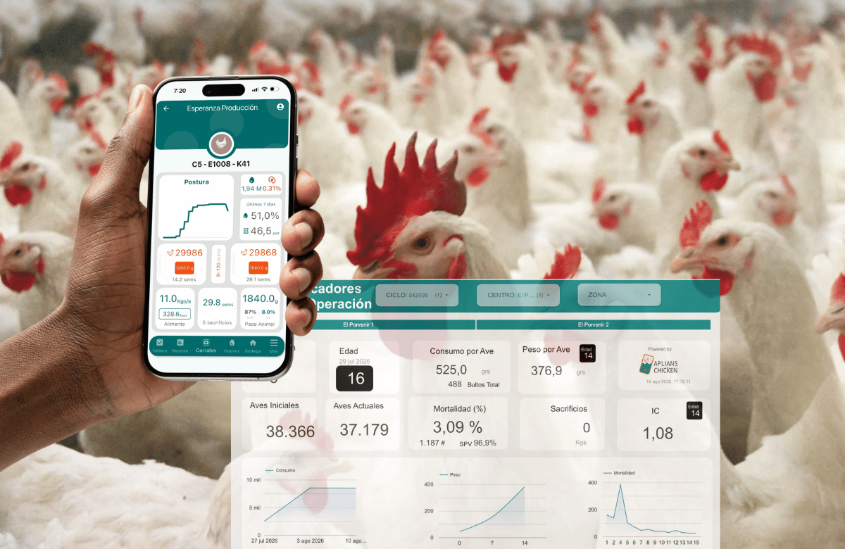 Indicadores de una operación de reproductoras en Aplians Chicken